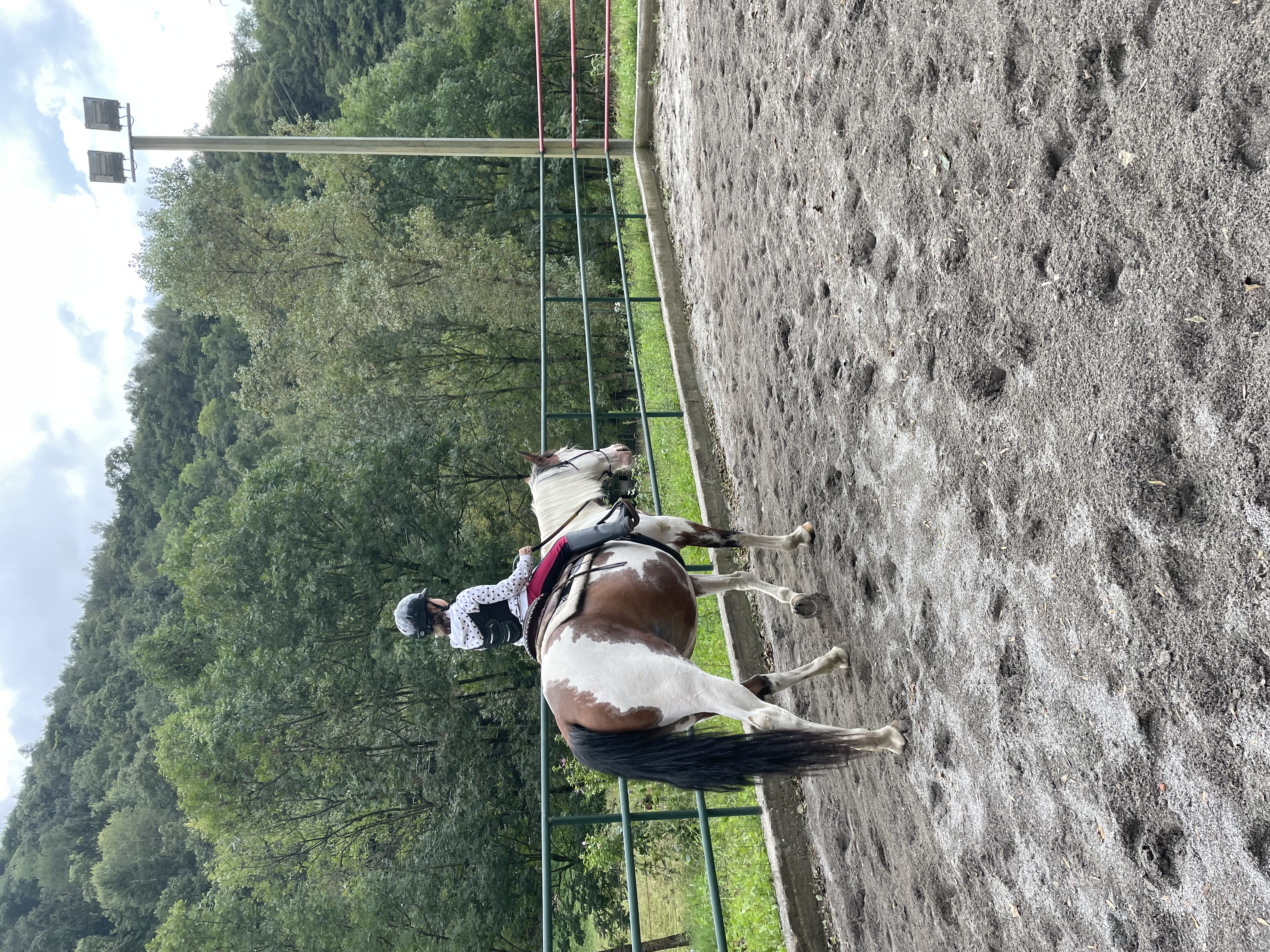 Lezioni western